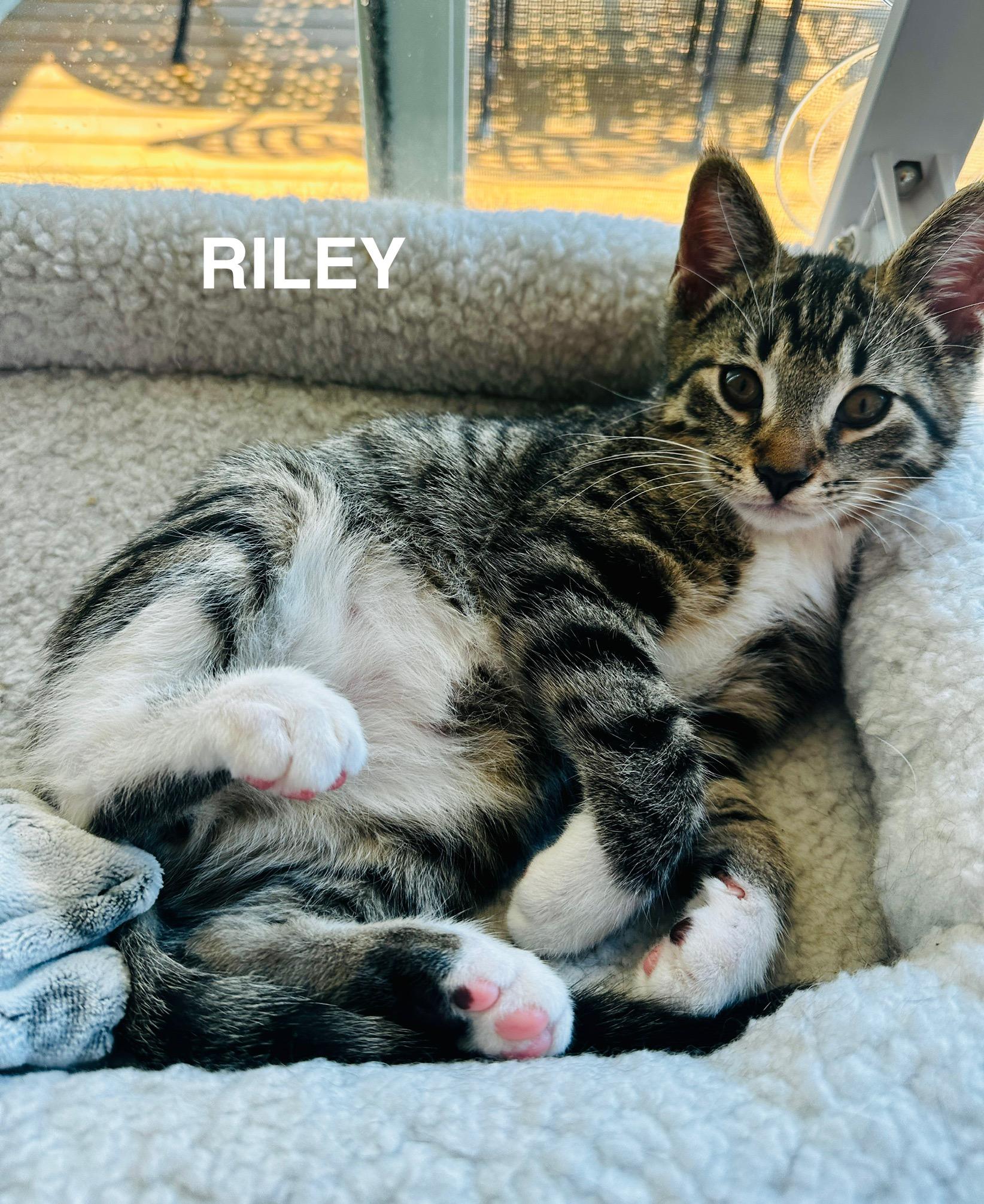 Riley And Rory thumbnail 5