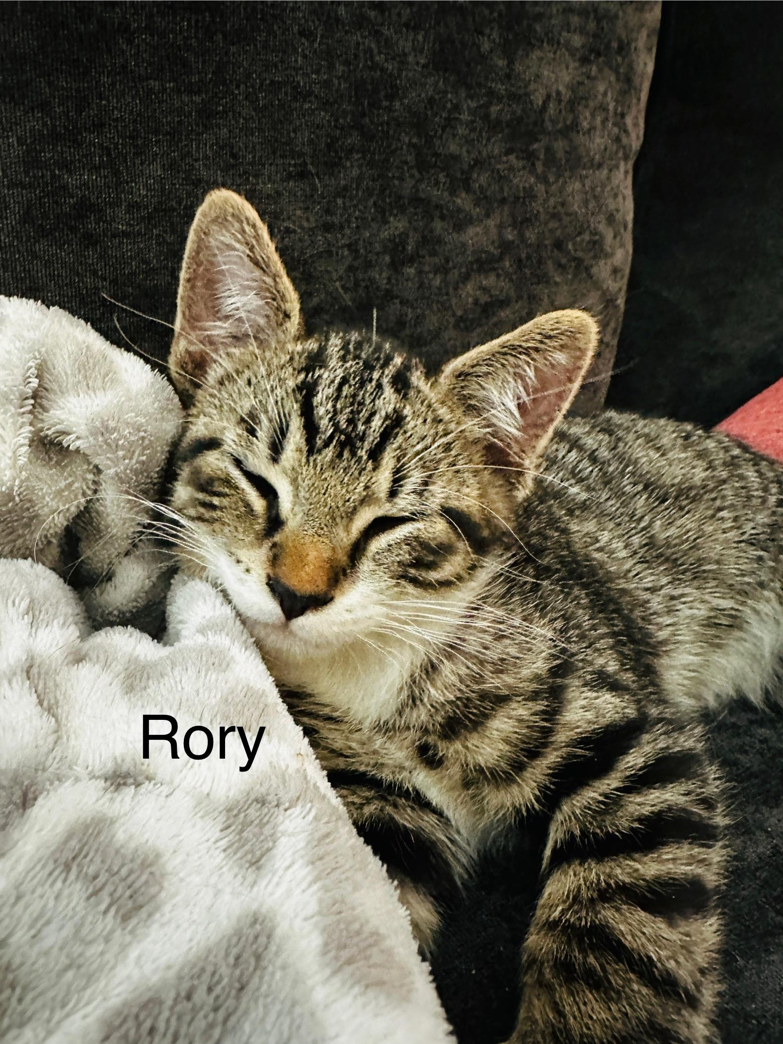 Riley And Rory thumbnail 3