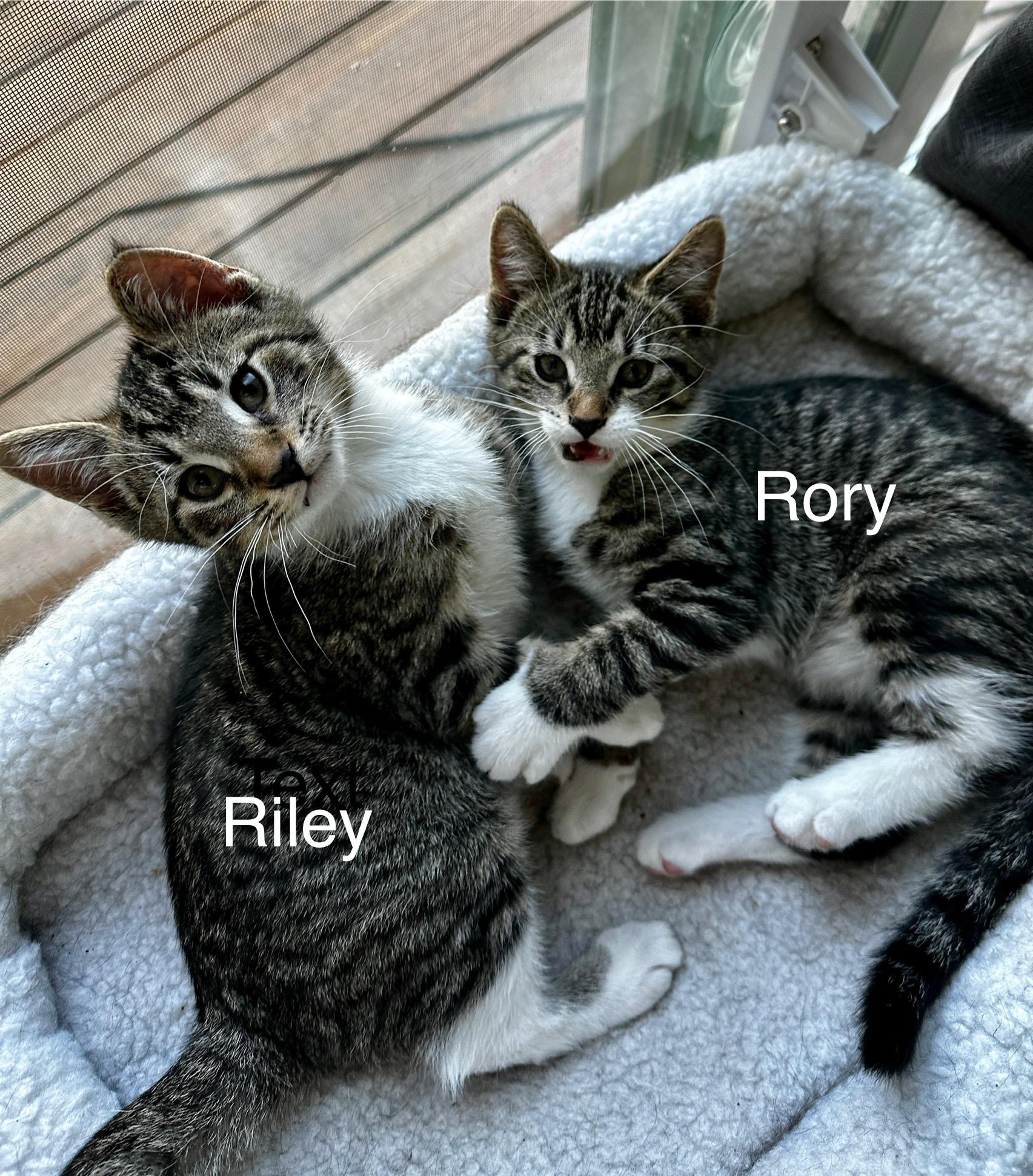 Riley And Rory