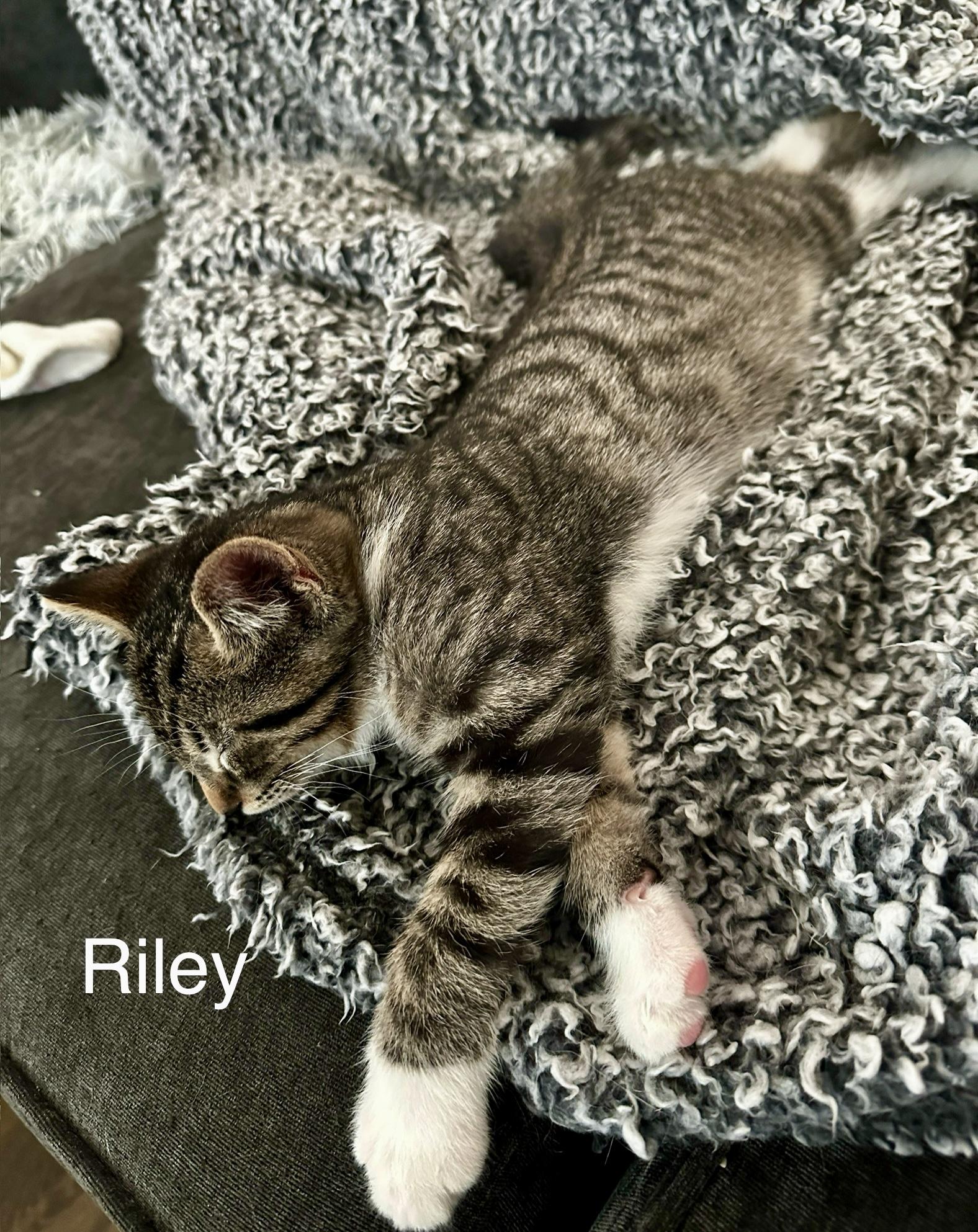 Riley And Rory thumbnail 4