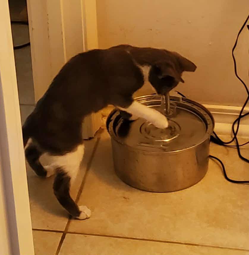 Sriracha thumbnail 6