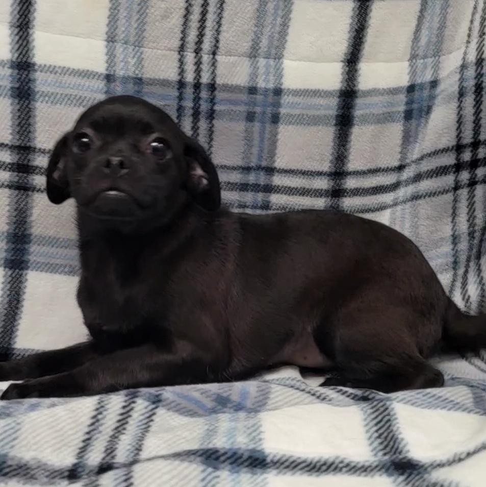 Sara — thumbnail 2