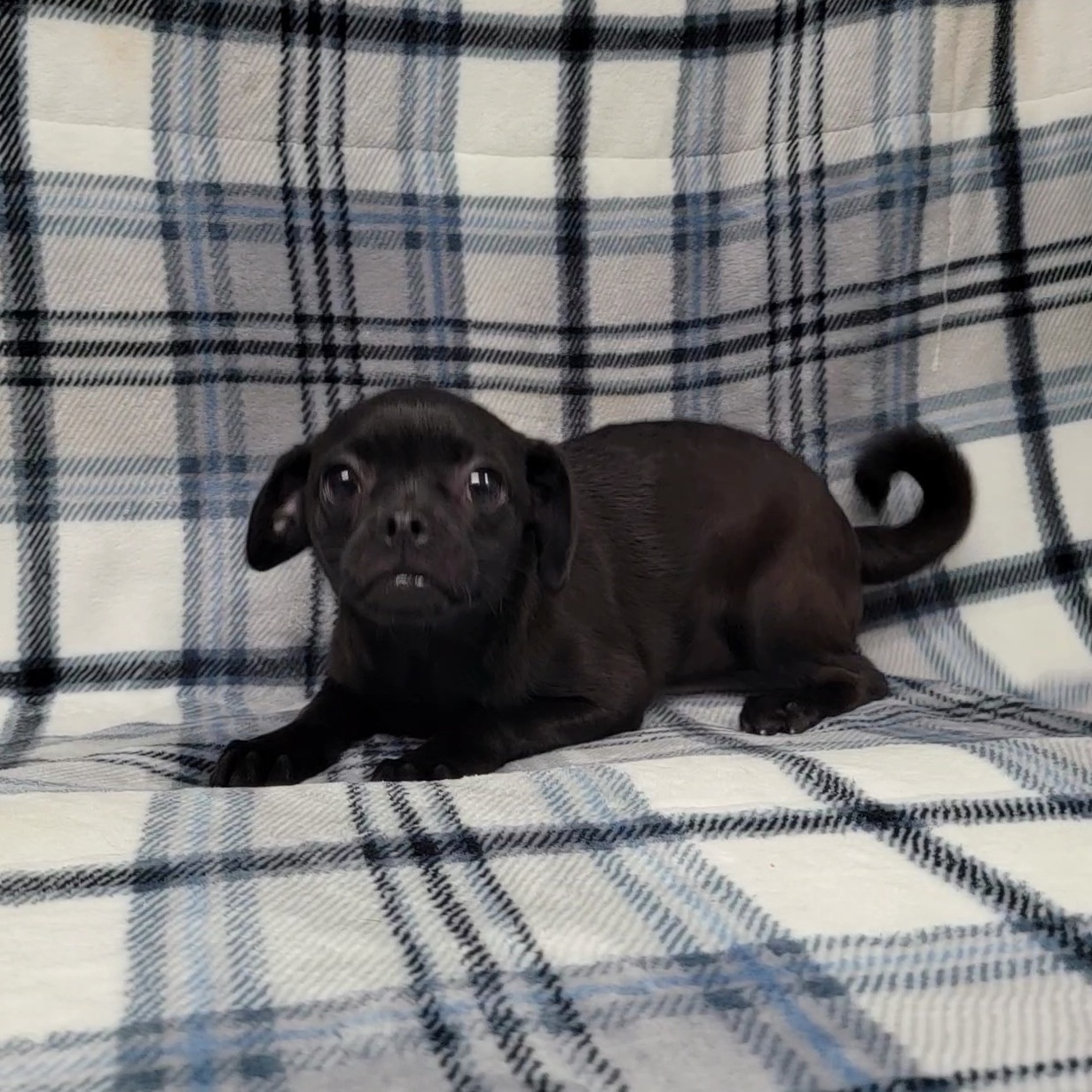 Sara — thumbnail 4