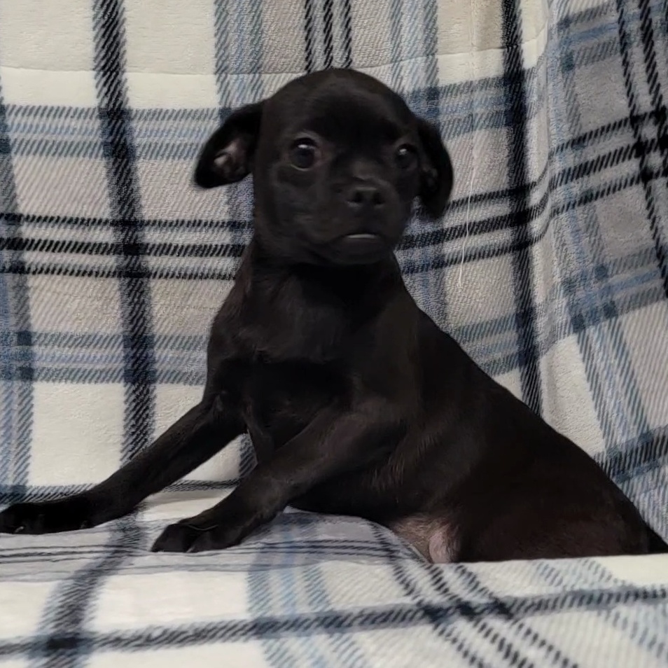 Sara — thumbnail 5