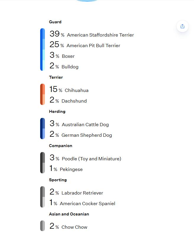 Enlarge Winni, an adopted mixed breed in Davis, CA image 5/6
