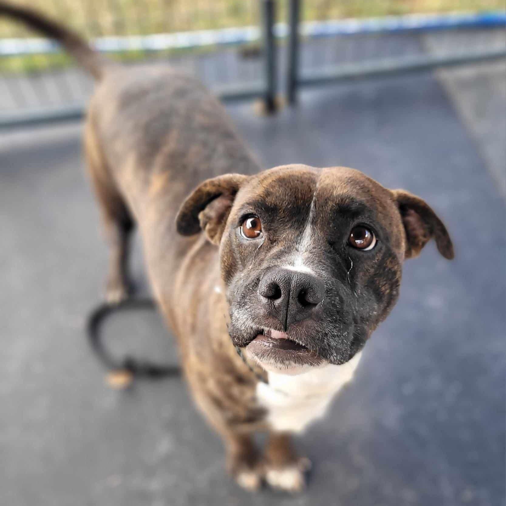 Martha