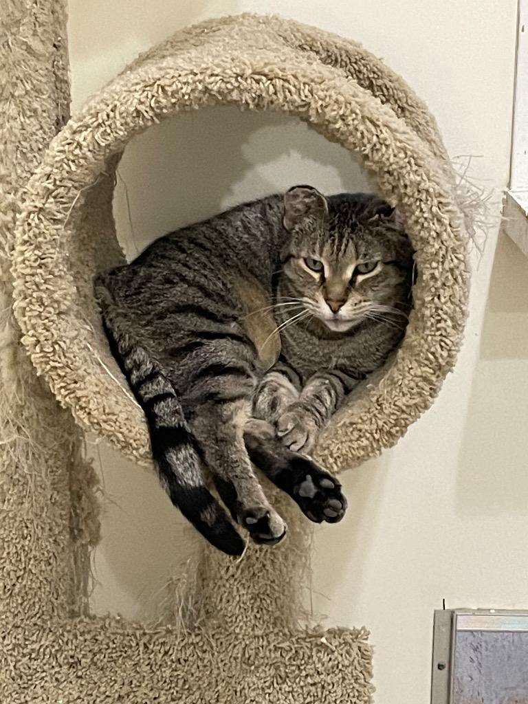 Squishy — thumbnail 2