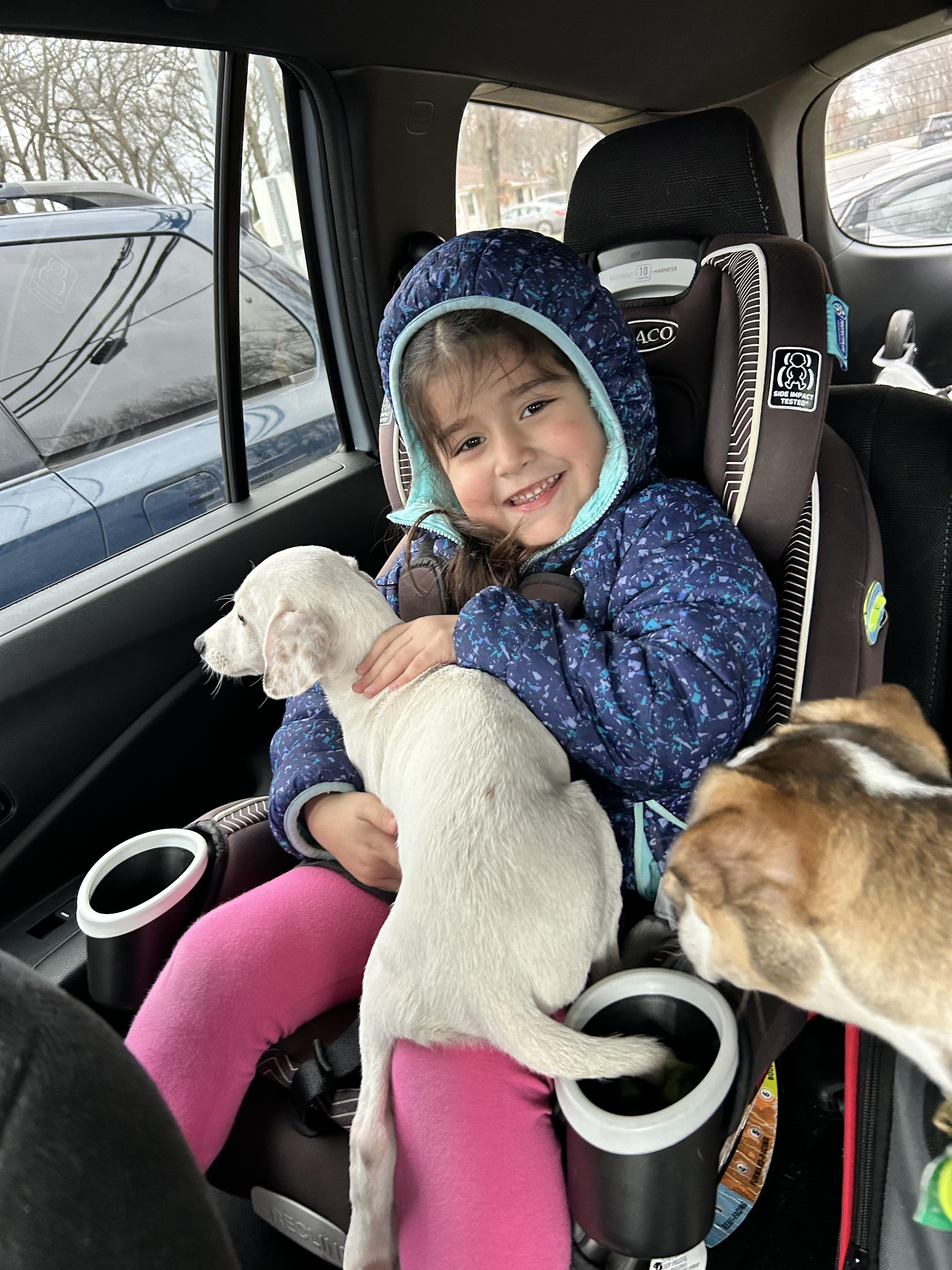 Enlarge Peter, a Adopted mixed breed in Centereach, NY image 3/6