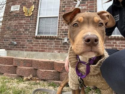 Claire — thumbnail 2