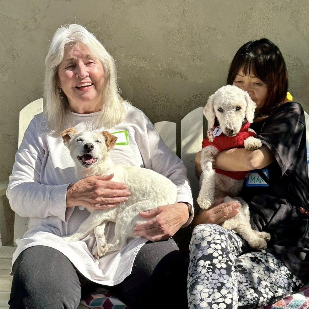 Acorn — thumbnail 3