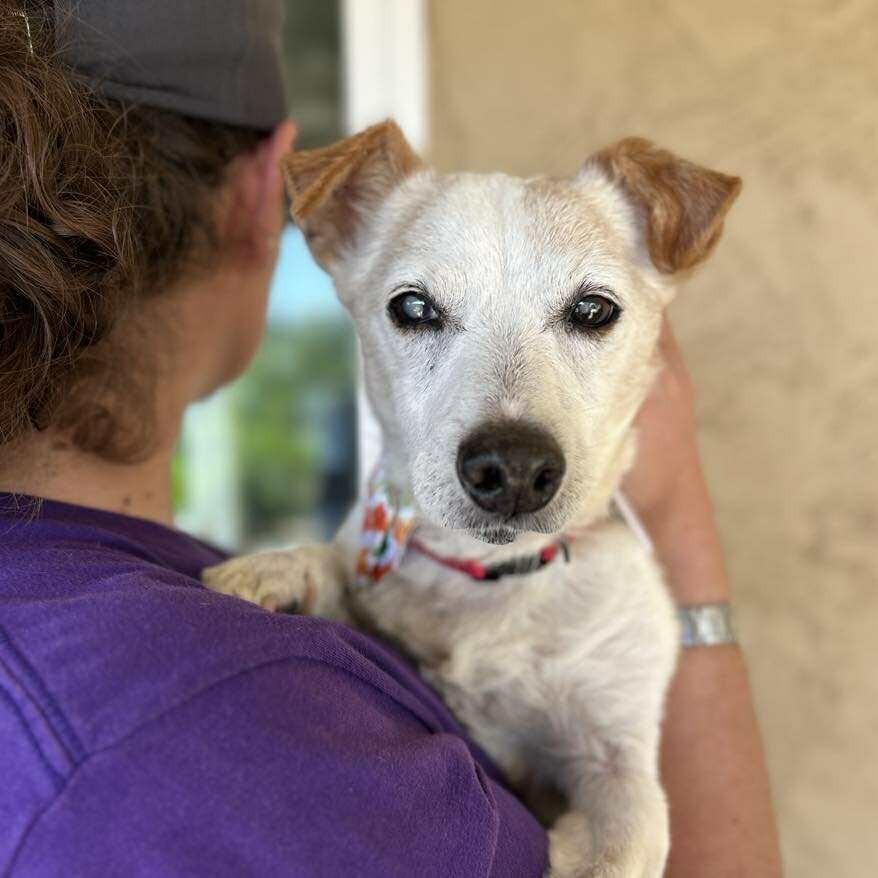 Acorn — thumbnail 5