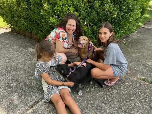 Enlarge Sandy & Shadow BONDED PAIR, a Adoptable mixed breed in Youngsville, NC image 6/6