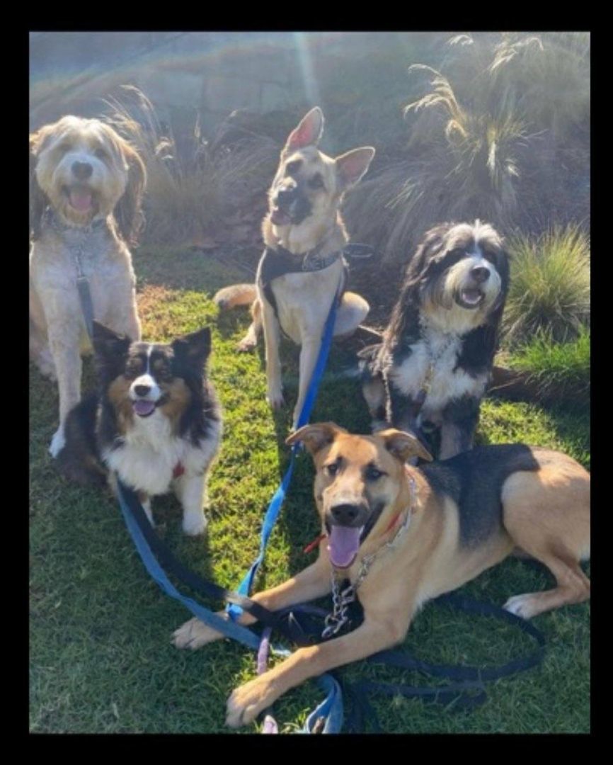 Puttin' On The Blitz thumbnail 5