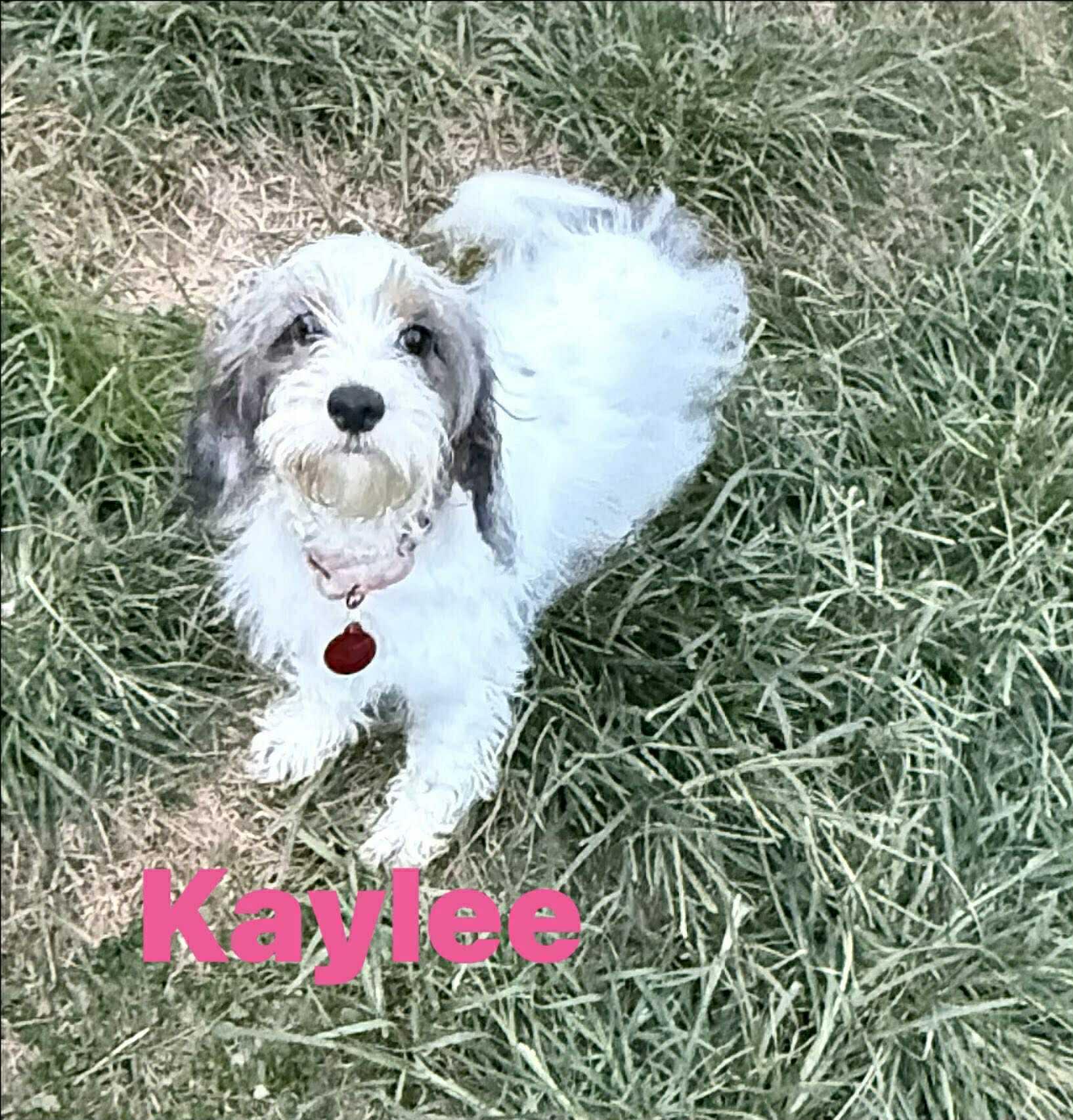 Kaylee