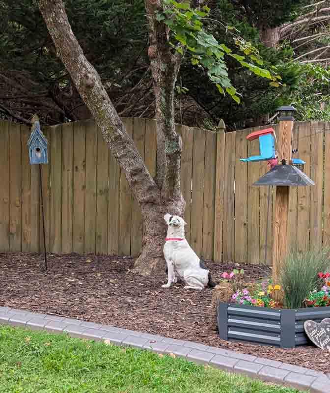 Agnes — thumbnail 5