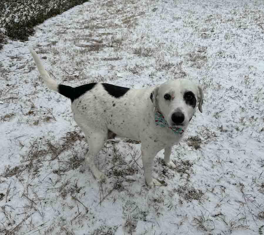 Agnes — thumbnail 6