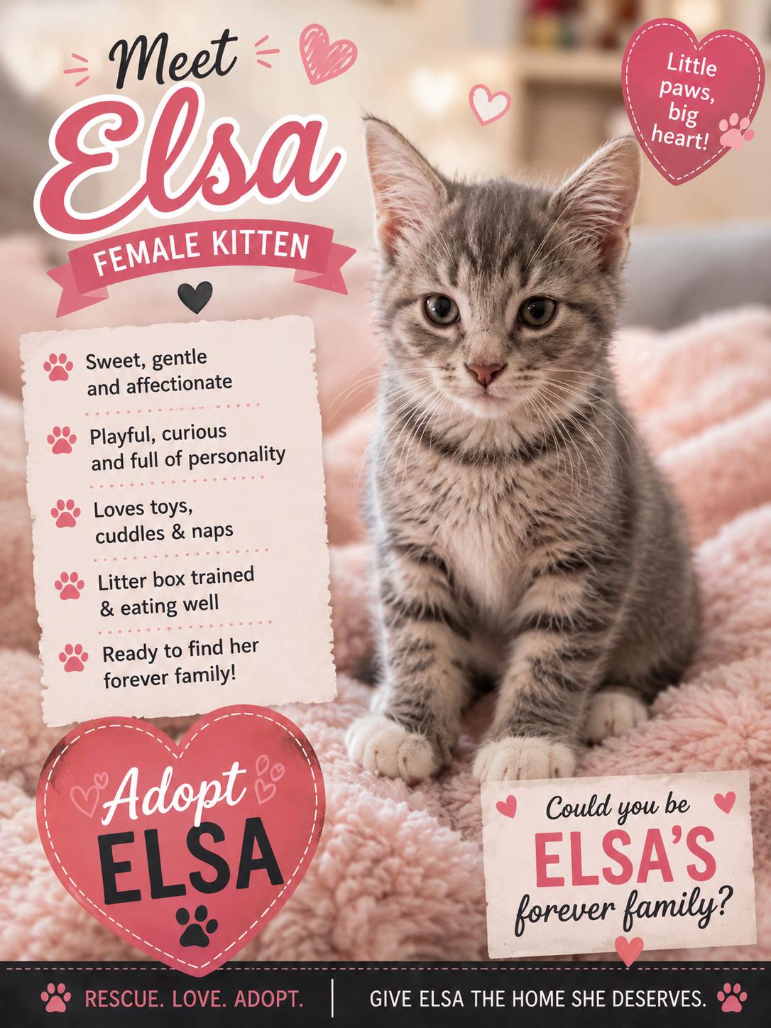 Elsa, a ADOPTABLE mixed breed in Knoxville, TN image 1/2