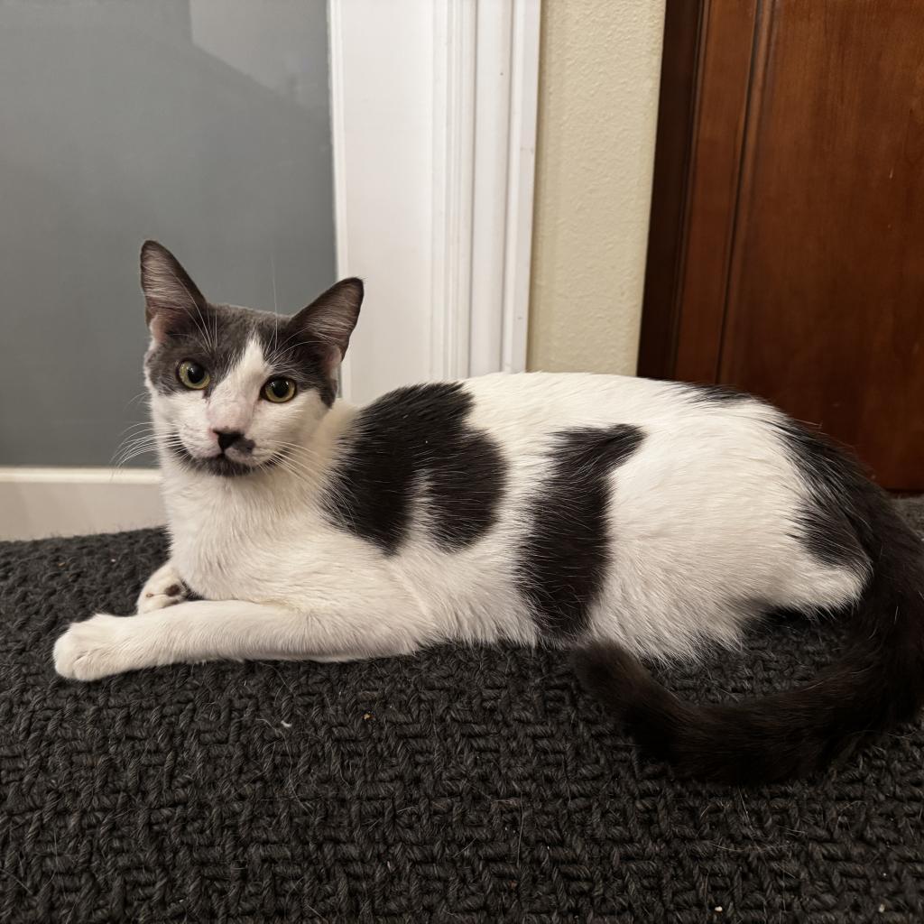 Thyme — thumbnail 4