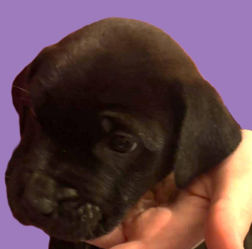 Nassau — thumbnail 2