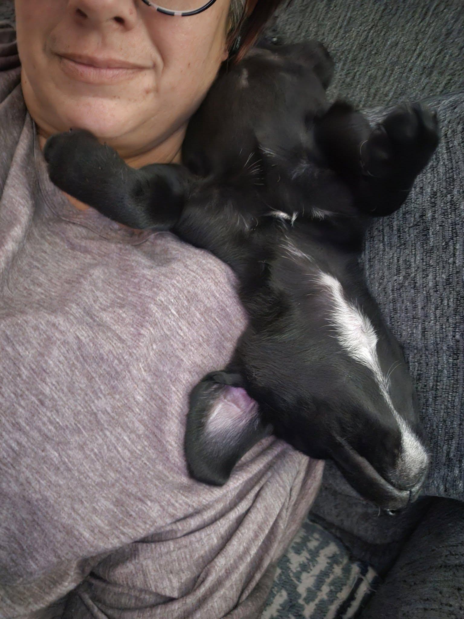 Nassau — thumbnail 3