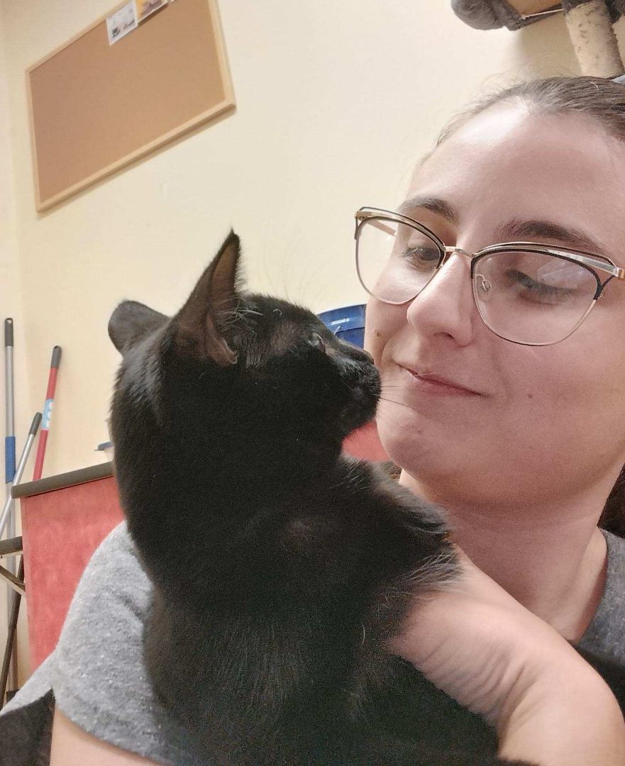 Enlarge CONI MOMOA, a Adoptable mixed breed in Murrieta, CA image 2/6