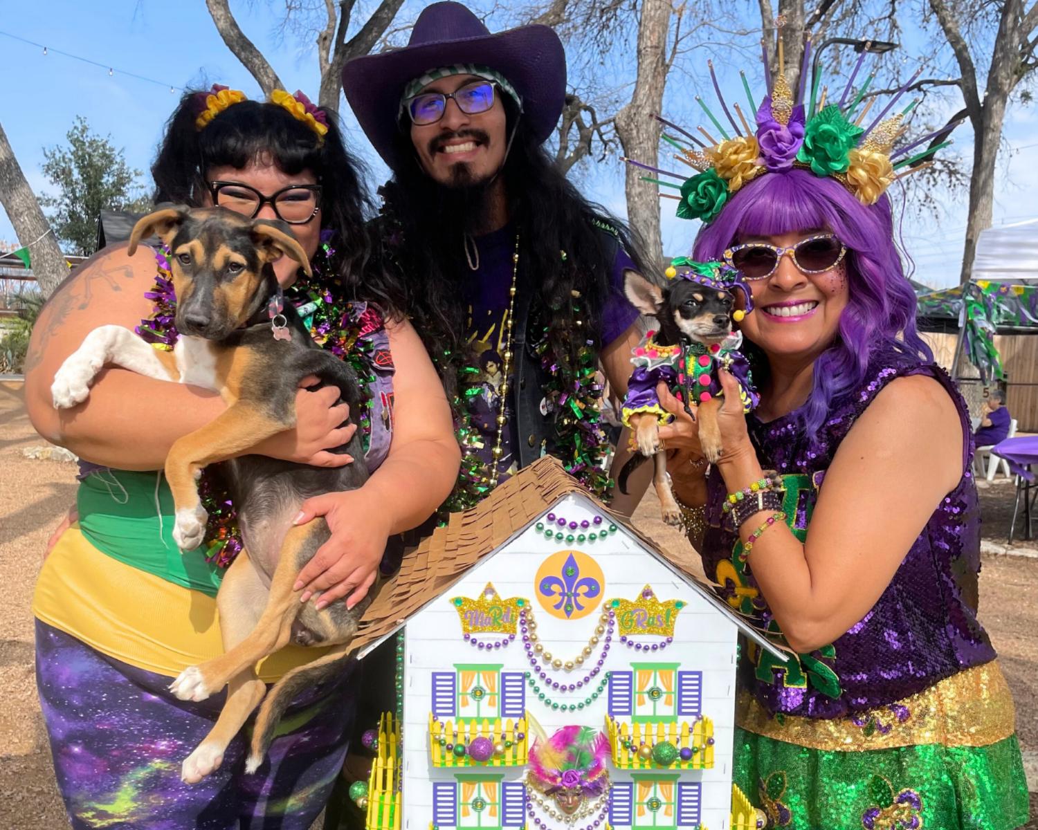 Enlarge Buttercup, an adoptable mixed breed in San Antonio, TX image 4/5