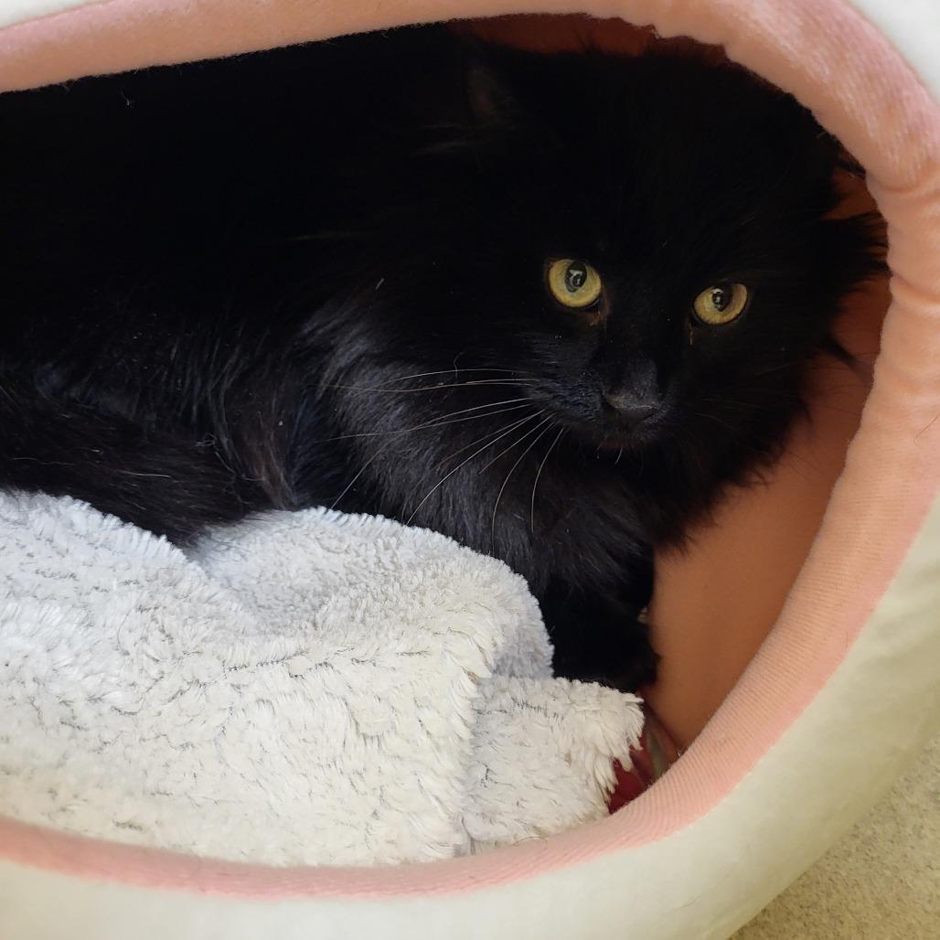 Carter — thumbnail 2