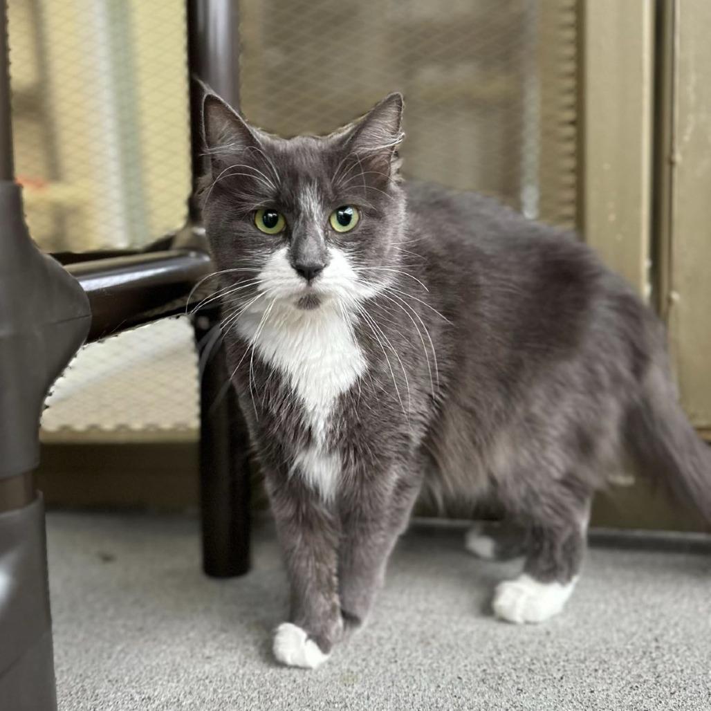 Caramel deLite — thumbnail 2