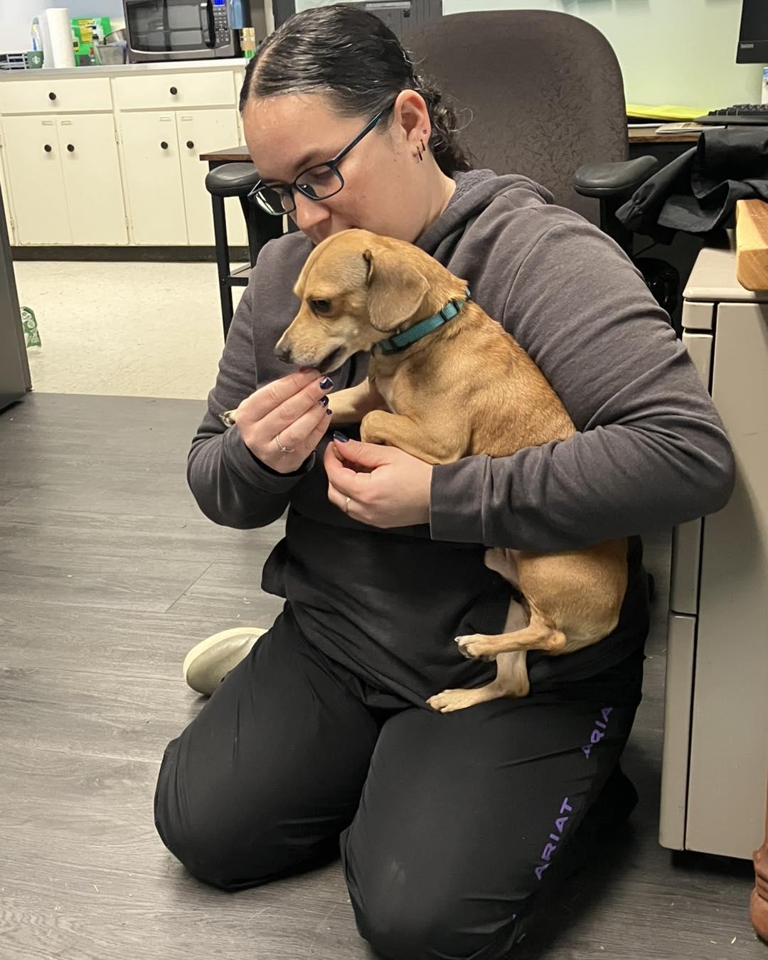 Enlarge Alex, a Adoptable mixed breed in Crescent city, CA image 4/4