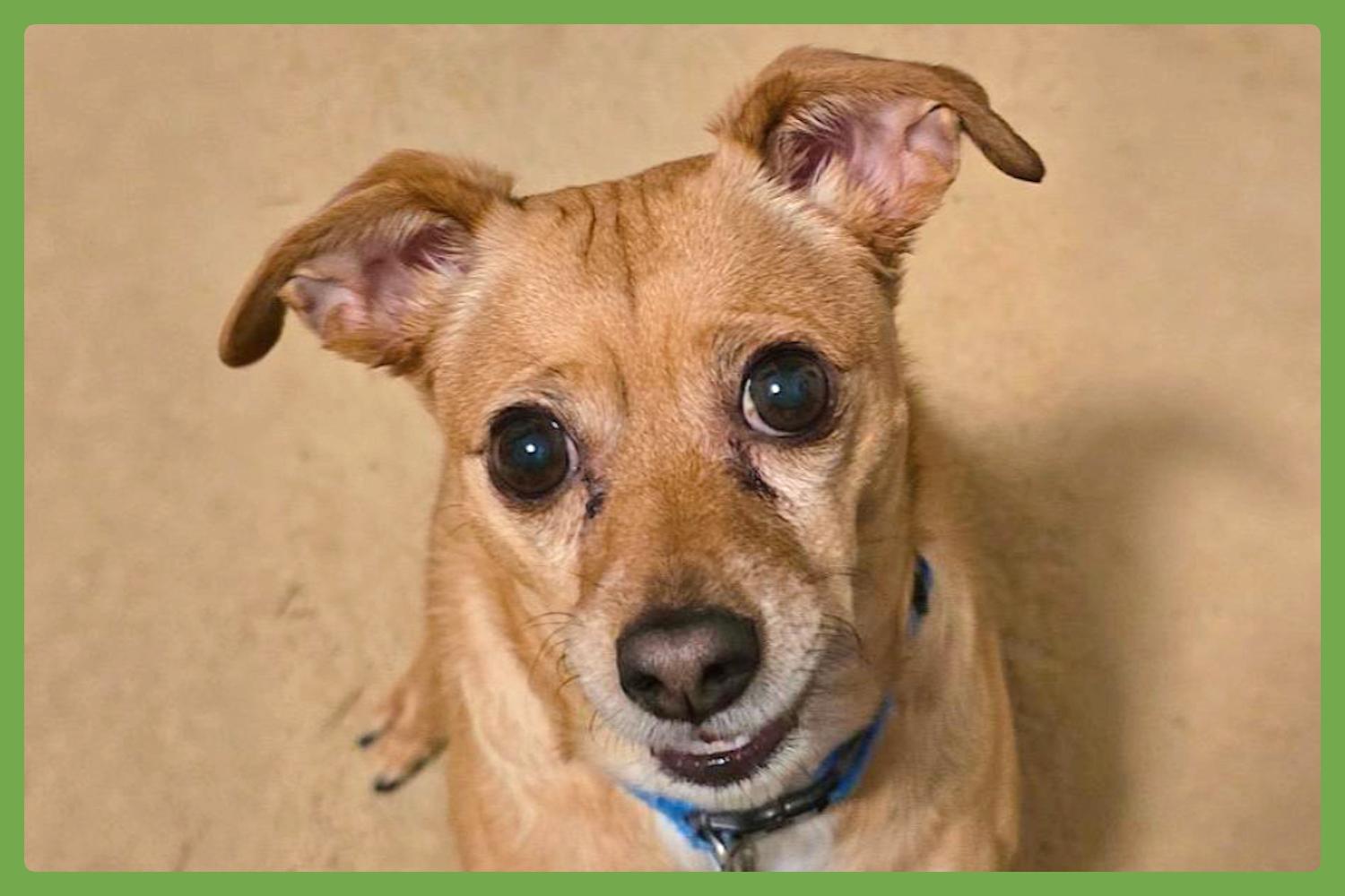 Duncan — thumbnail 2