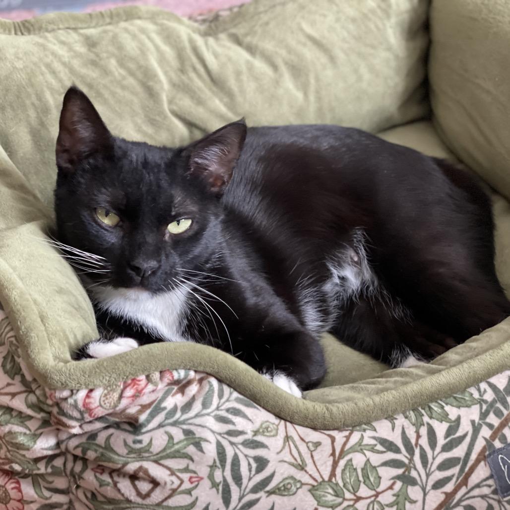 Mama Turkey — thumbnail 3