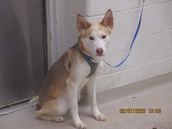 Snow(407) — thumbnail 2