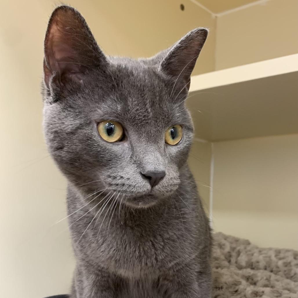 Stewart — thumbnail 4