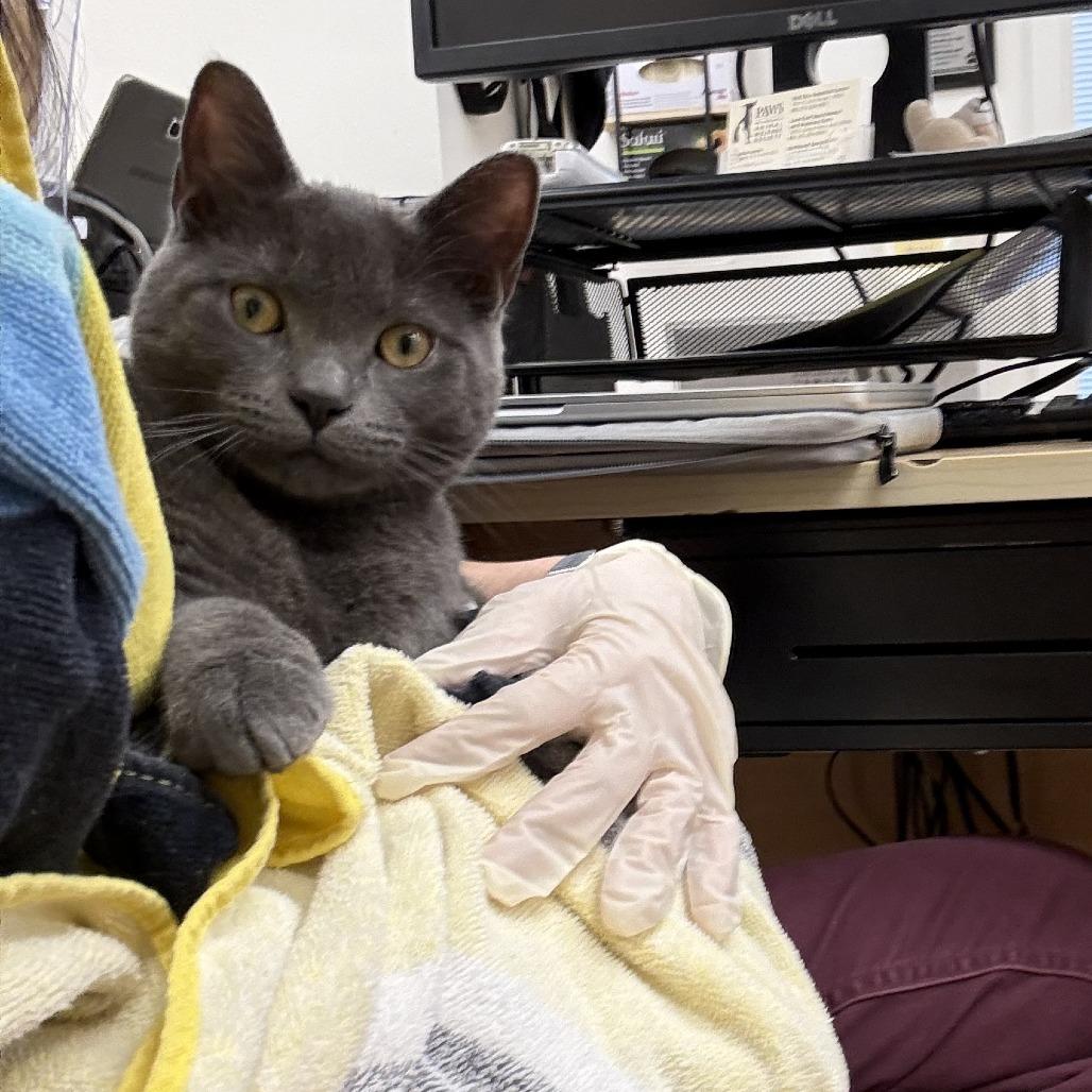 Stewart — thumbnail 6