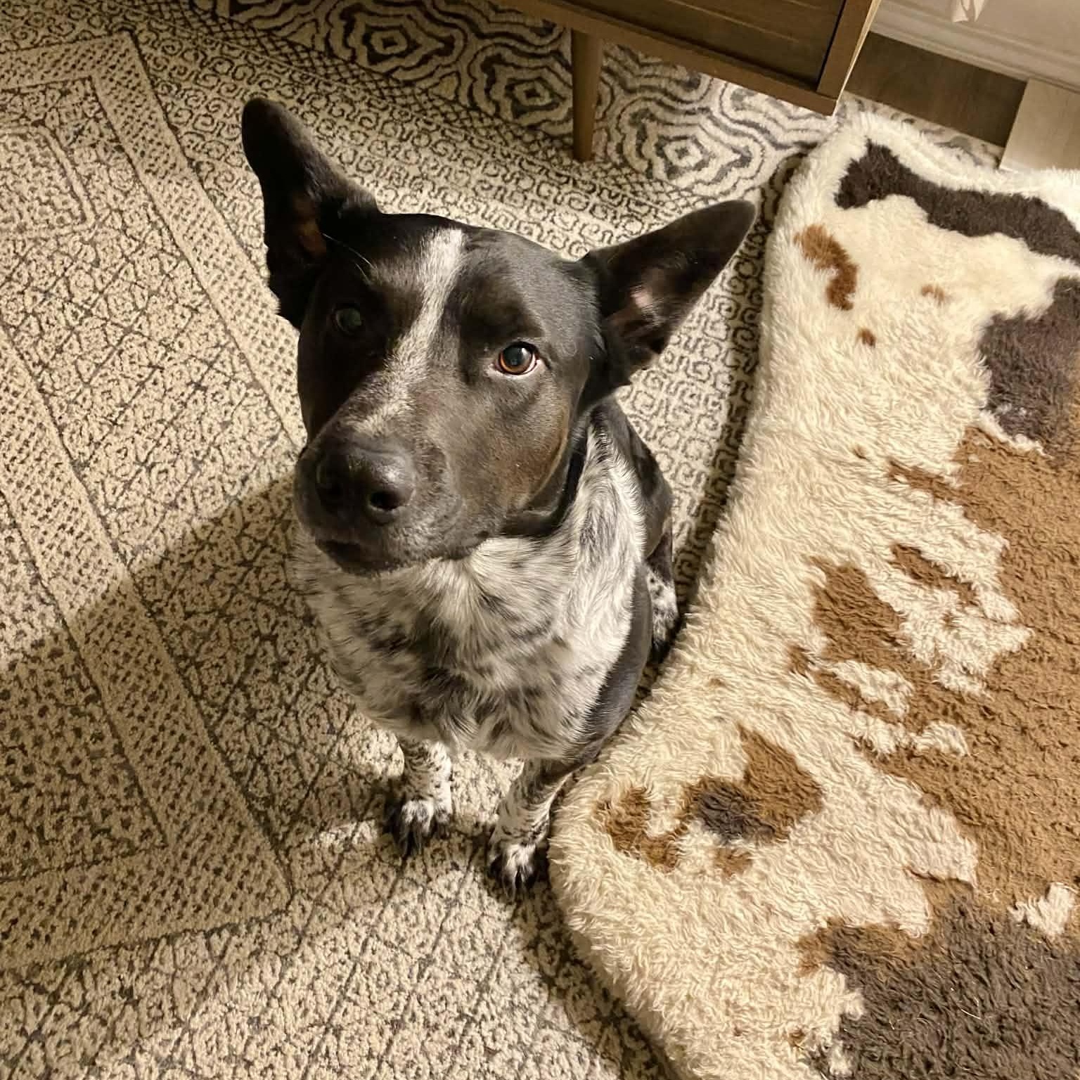 Rip Wheeler — thumbnail 2