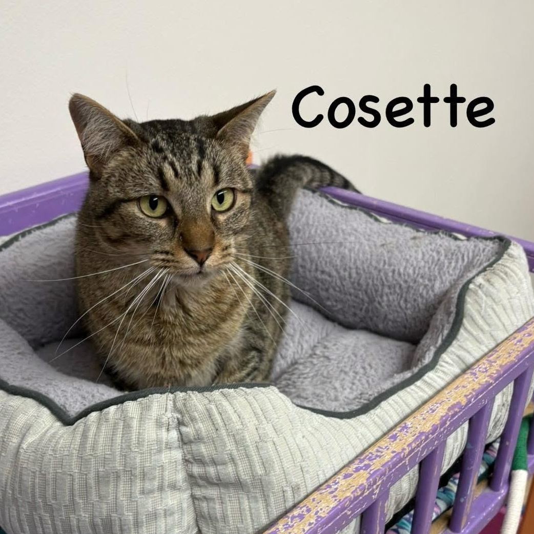 Cosette