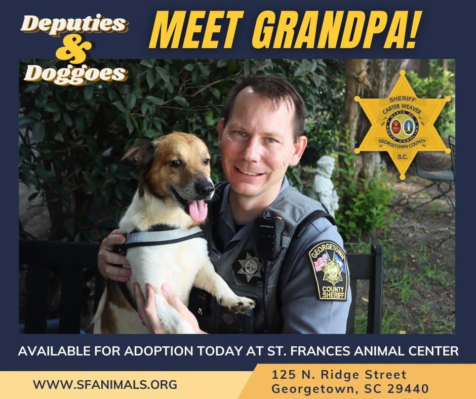 Grandpa, Adopted, Adult Male Mixed Breed.