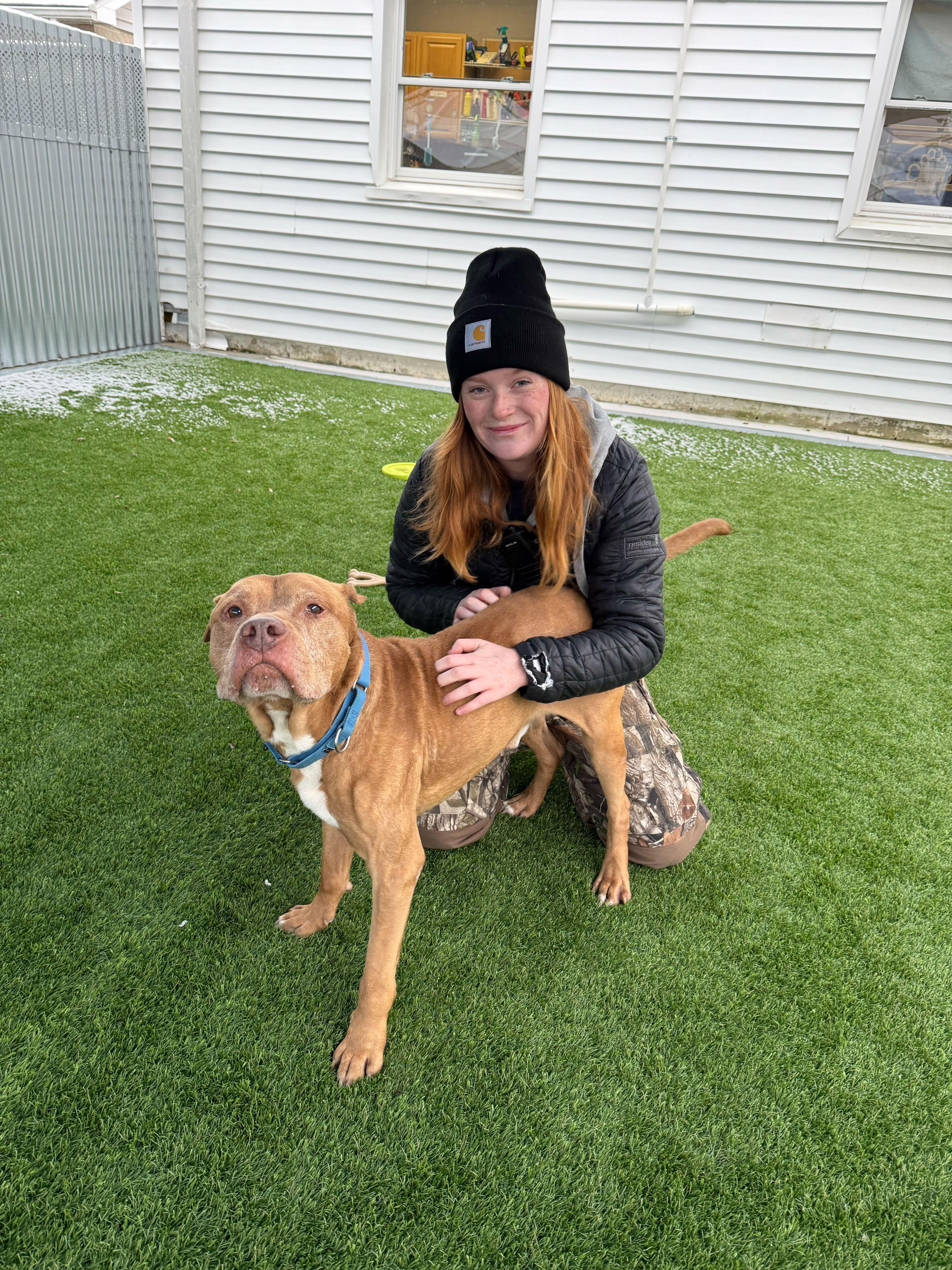 Enlarge Nugget, a ADOPTABLE mixed breed in Queenstown, MD image 6/6