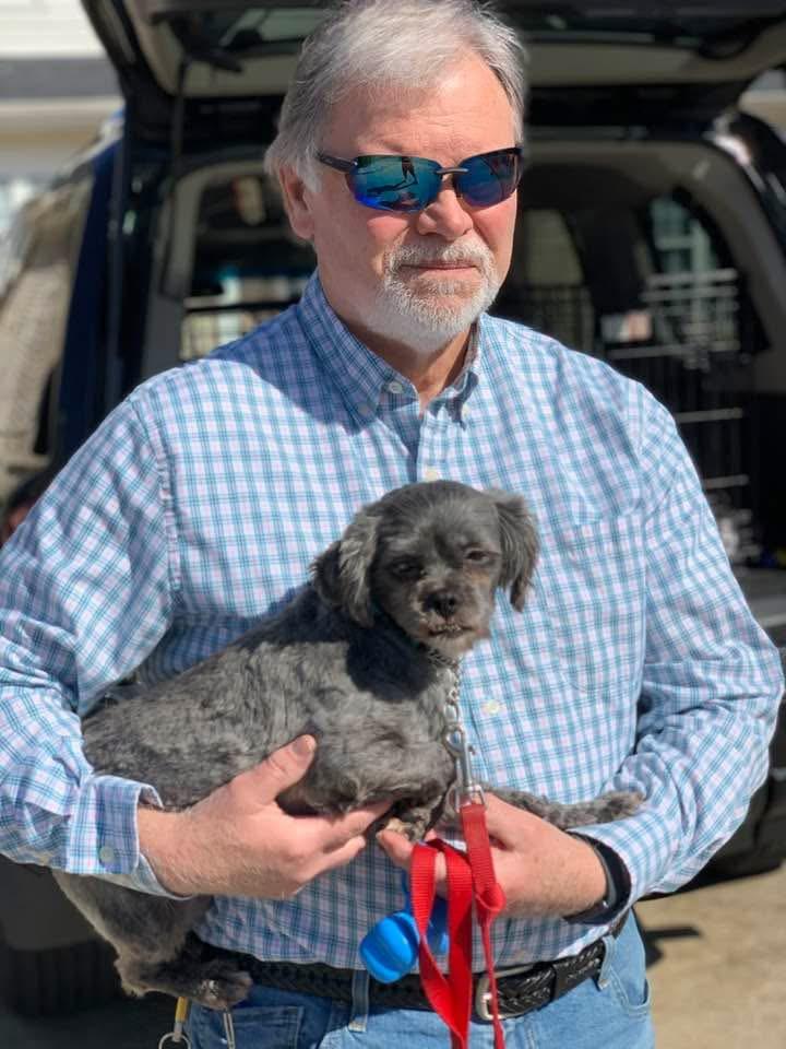 Enlarge Pippa , a ADOPTABLE mixed breed in Douglas, MA image 3/6