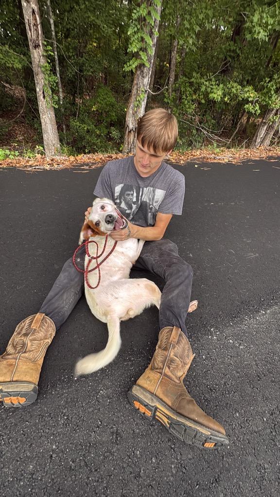 Enlarge Sabrina, a Adoptable mixed breed in Effingham, SC image 1/6