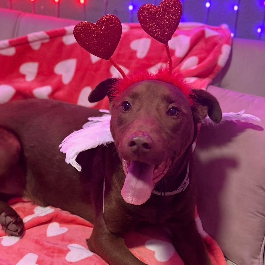 Crissy — thumbnail 4