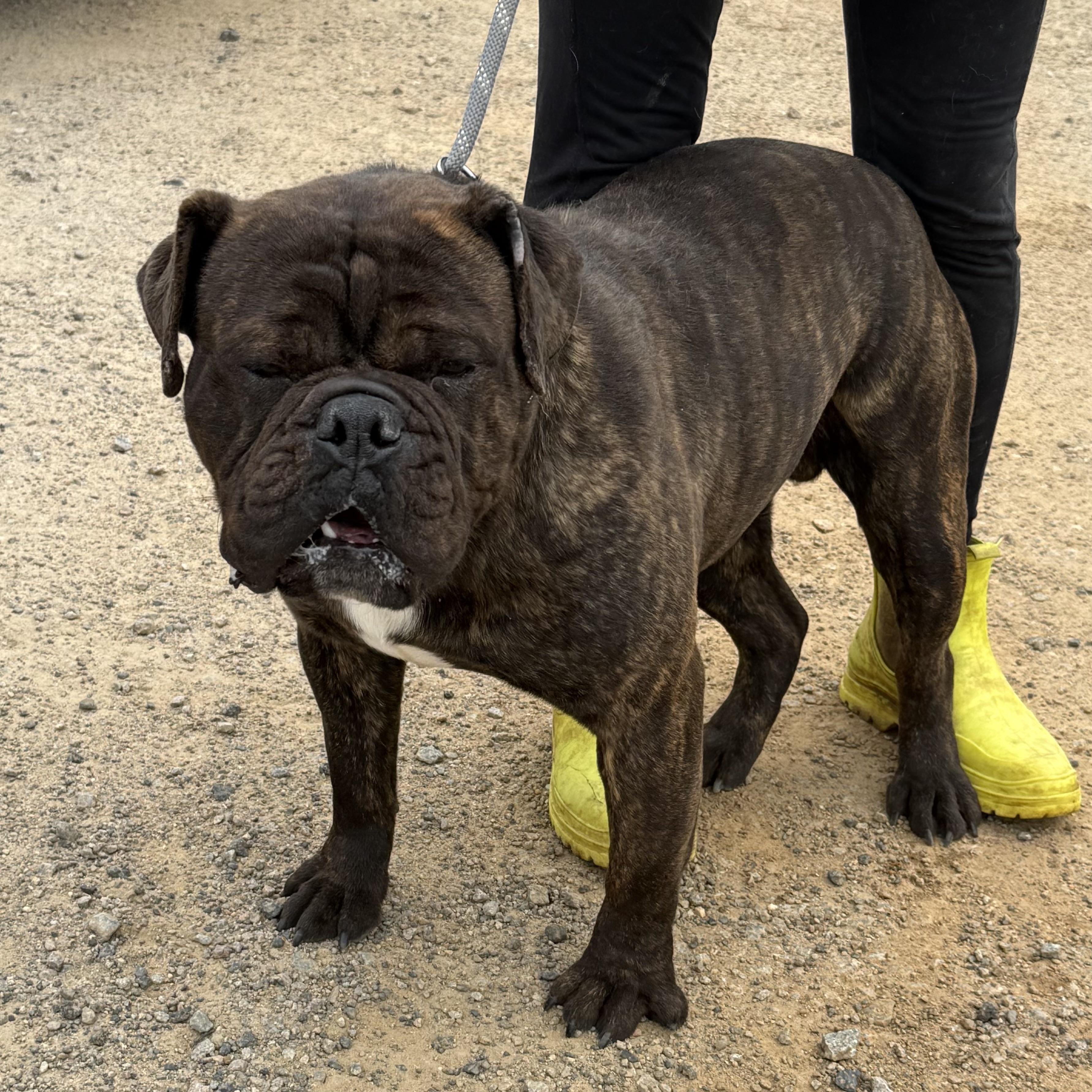 Kash — thumbnail 5