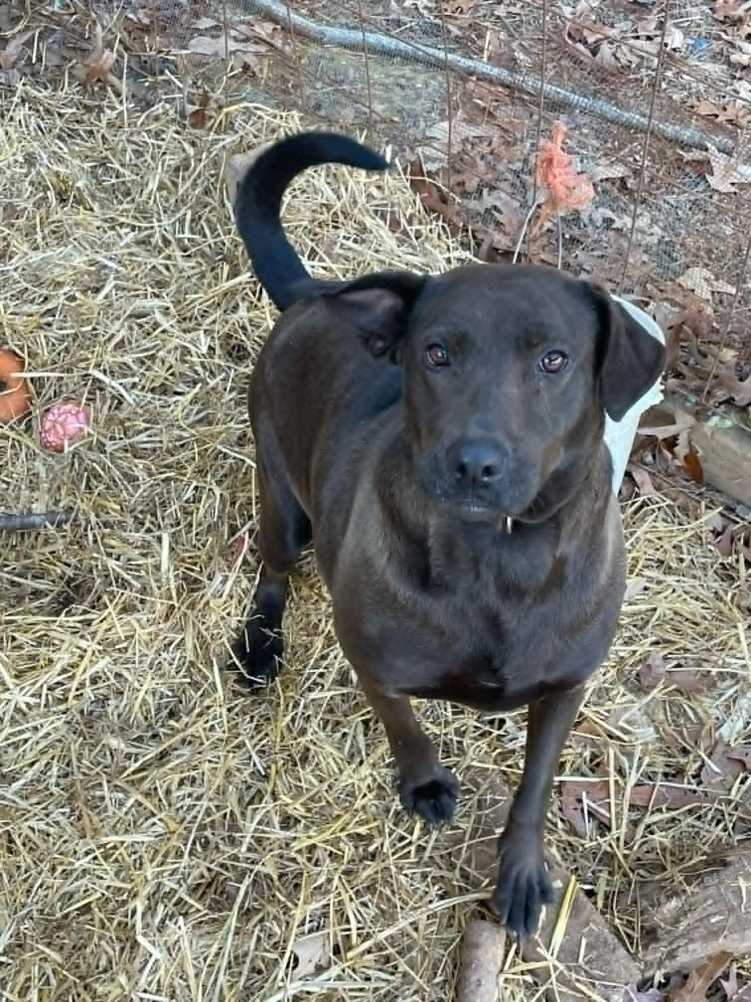 Mia (Courtesy) — thumbnail 2