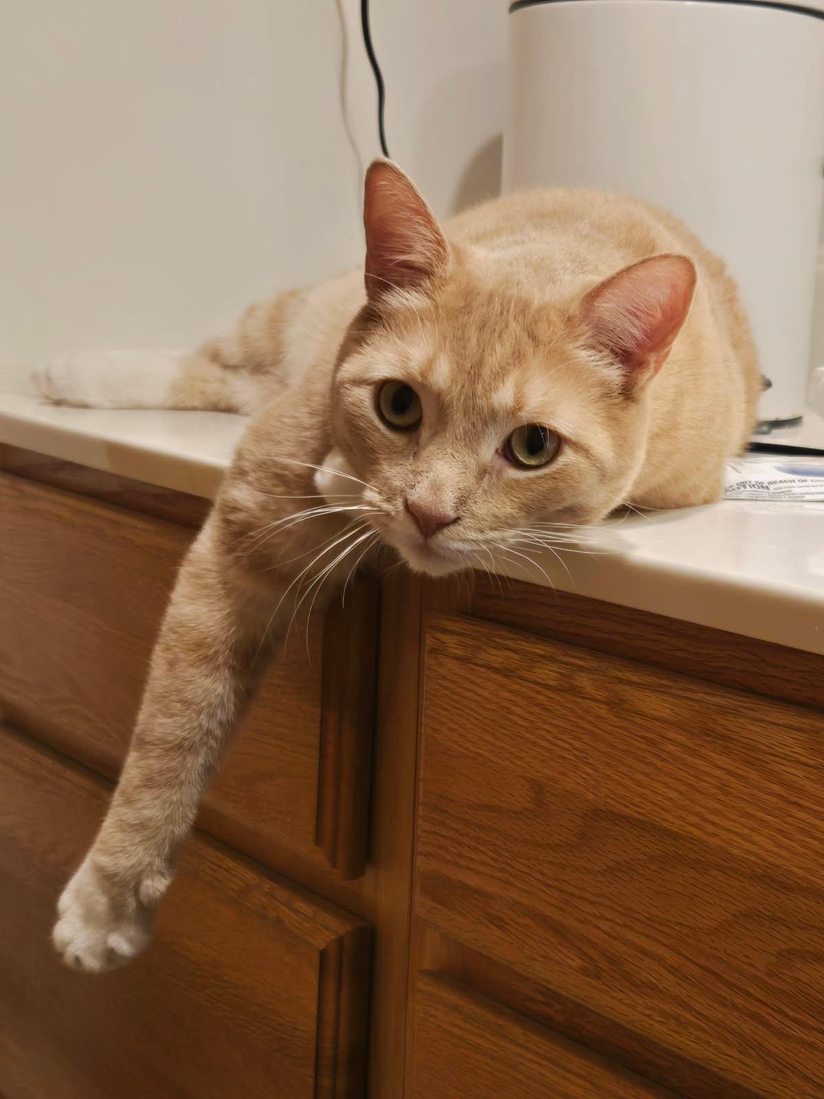 Carlos & Earl Bonded thumbnail 2