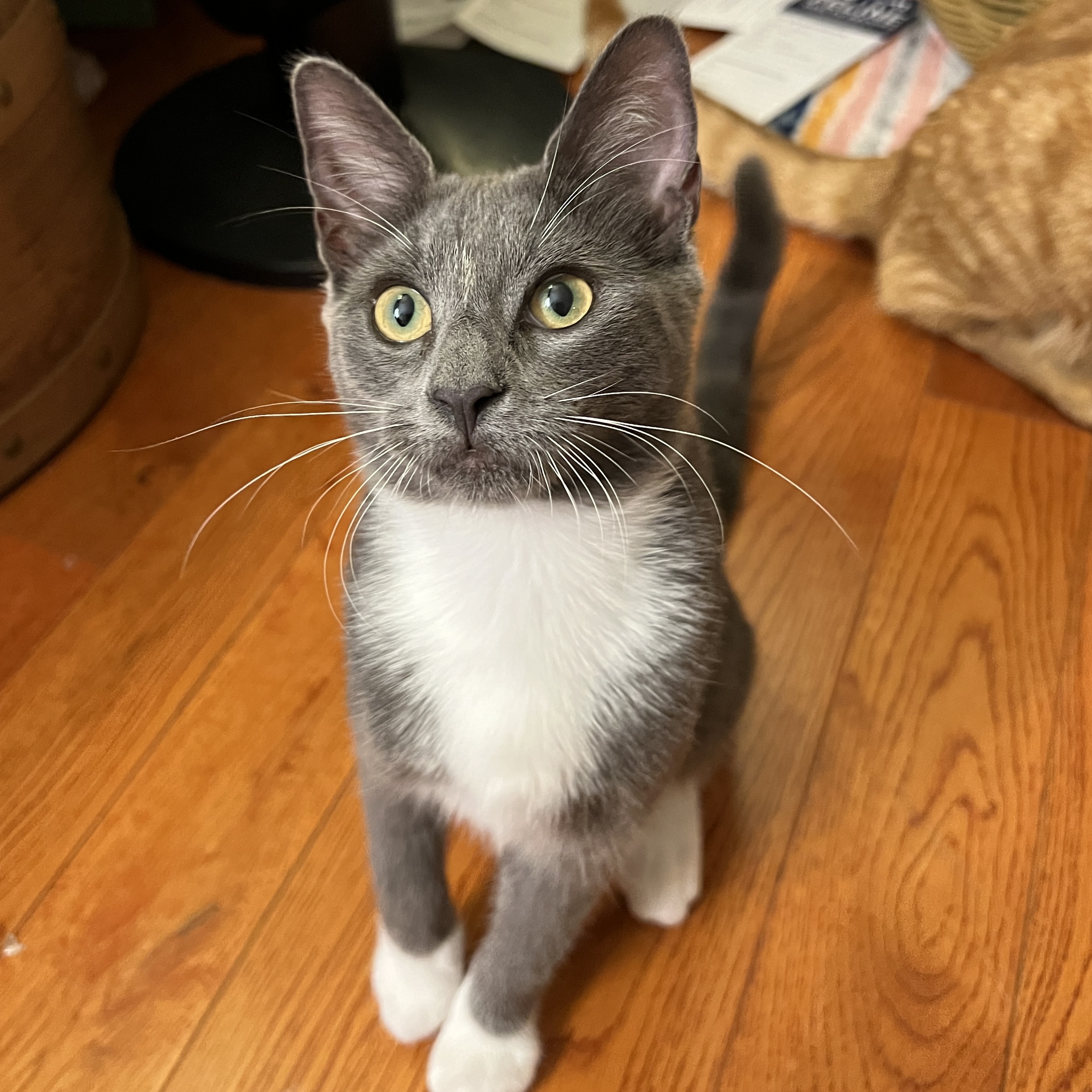 Matilda photo 4