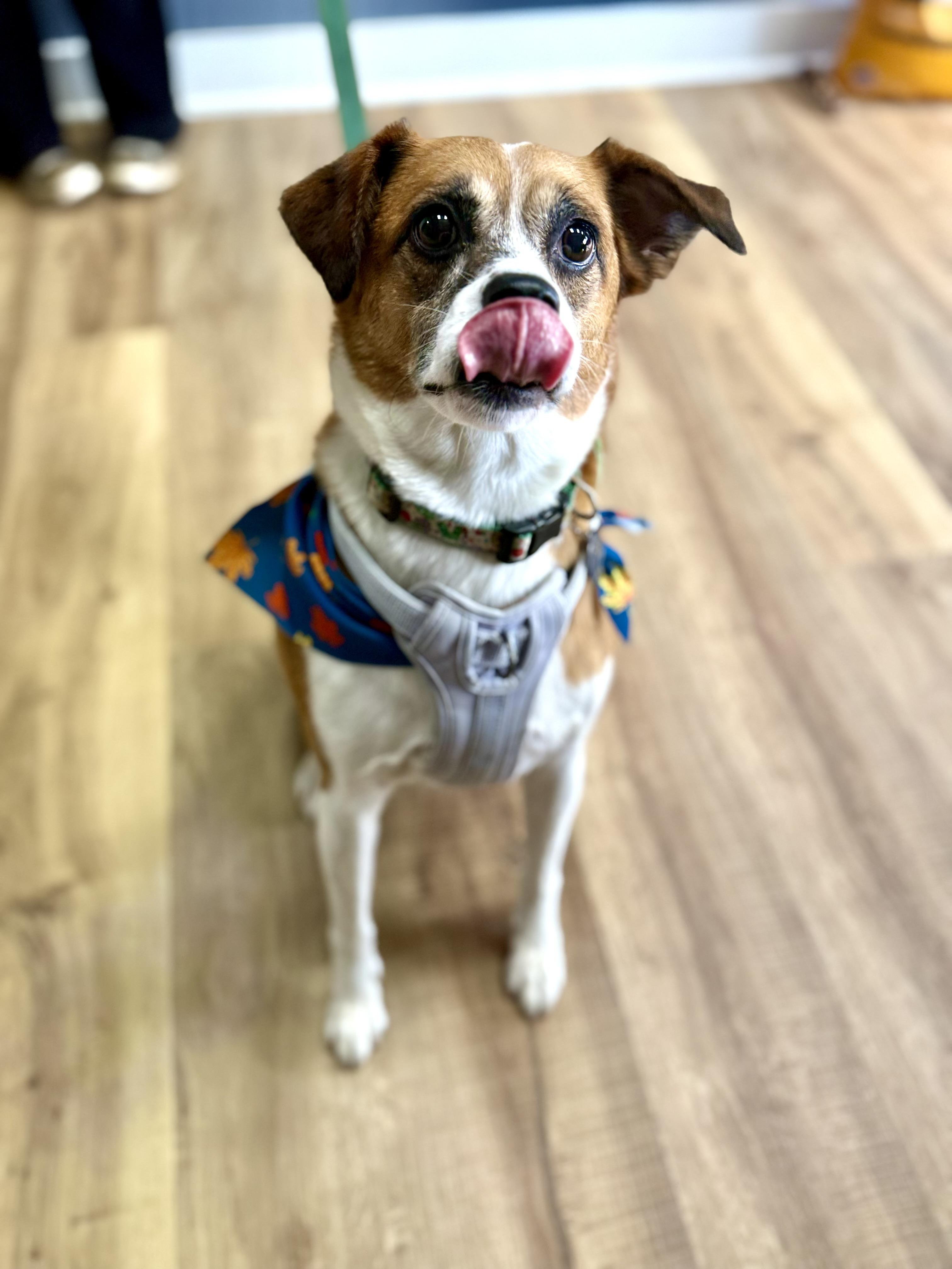 Maya