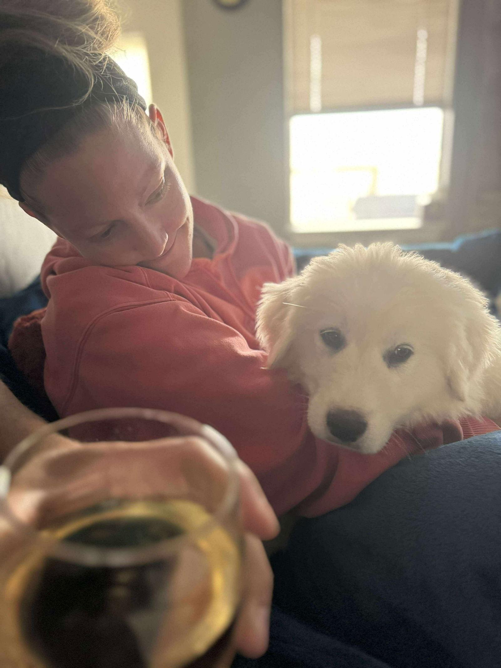 Enlarge Tater Tot, a Adopted Mixed Breed in Bountiful, UT image 2/3