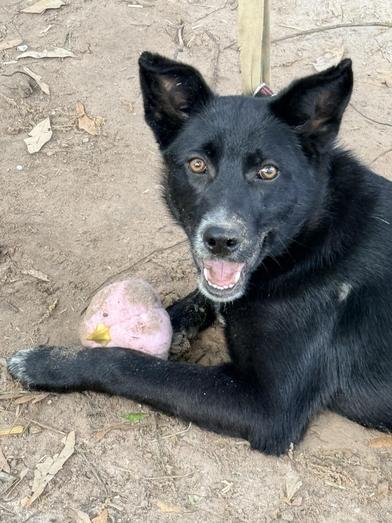 Angel — thumbnail 3