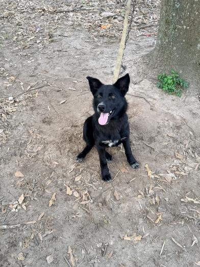 Angel — thumbnail 5