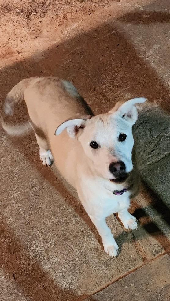 Daisy Mae